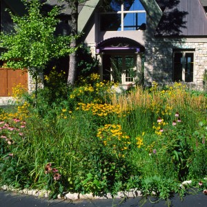 White Bear Lake Landscape
