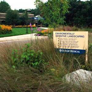 Native Corporate Campus Landscape Design