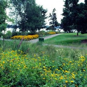 Native Minnesota Landscape Design