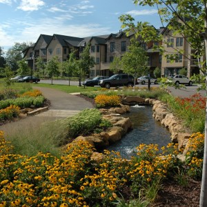 Senior Housing Landscape Design